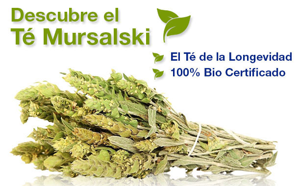 Banner creado para la web www.topnutrition.es