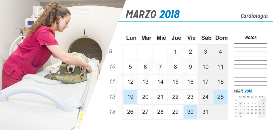 Calendario 2018 Vetsia